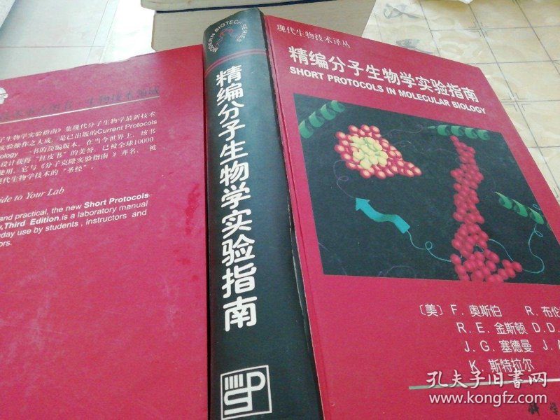 医疗试剂：精准诊断的利器