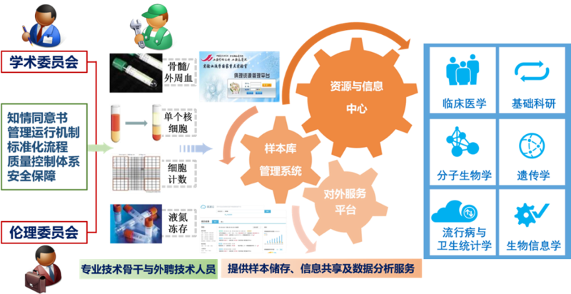 未来医疗的新篇章：基因检测服务的行业动态
