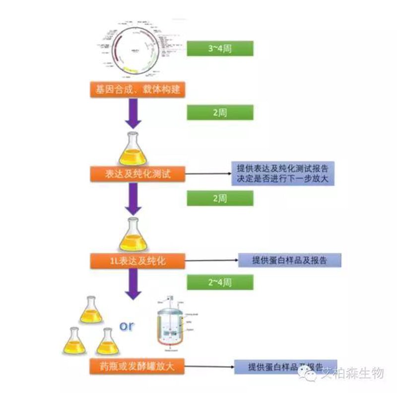 选购实验室仪器的最佳指南